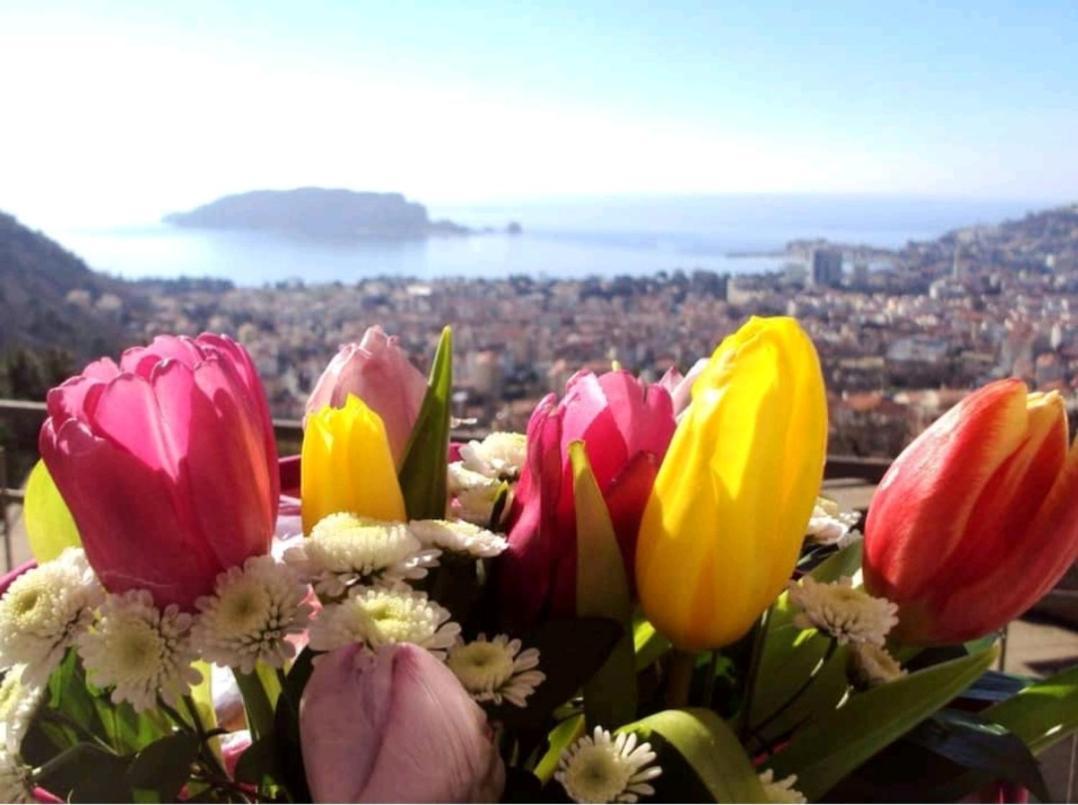 Vesna'S Dream Apartment Budva Luaran gambar